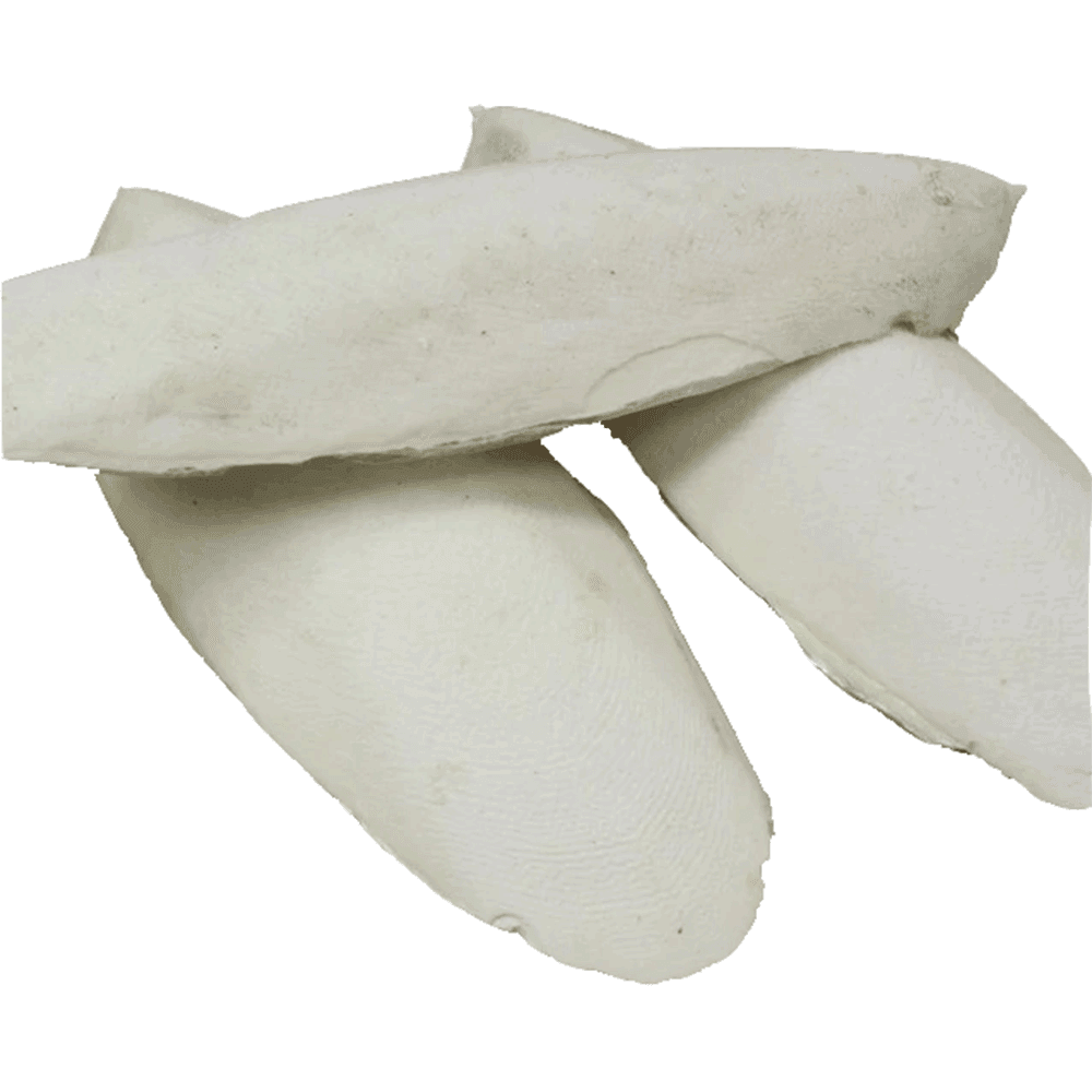 White Cuttlefish Bone, For Animal Feed, Packaging Type: Box