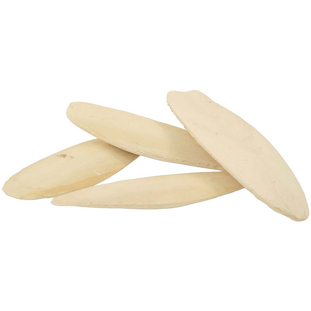 Cuttlefish Bone, Packaging Type: Packet