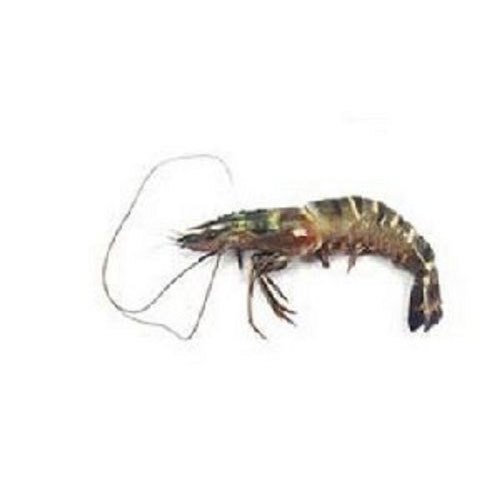 Tiger Prawns Fish, Packaging Type: Thermocol Box