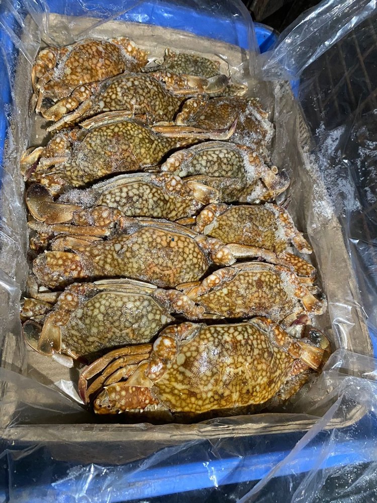 Blue Swimmer Crabs, For Restaurant, Packaging Type: Thermocol Box