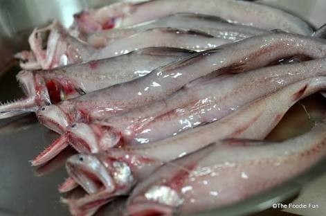Bombil Fish