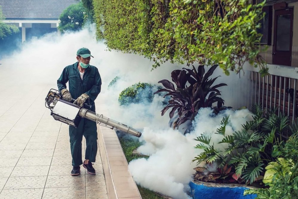 in Industrial Commercial Smoke Pest Control Services