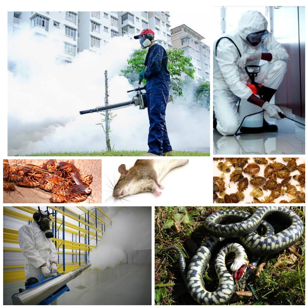 Insecticides Fume-based Treatment Smoke Fumigation Services