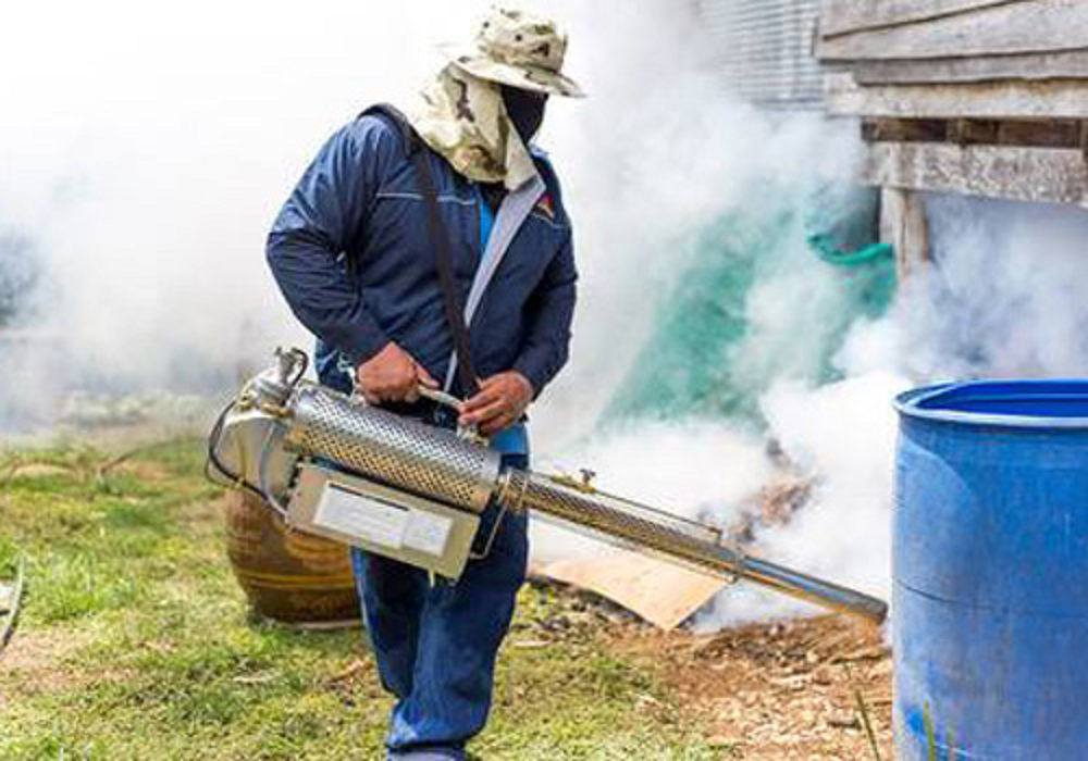 In Home Fumigation Pest Control Services
