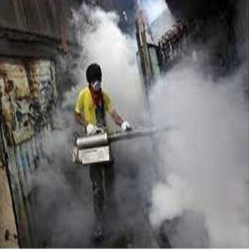 in Industrial Smoke Fumigation Services