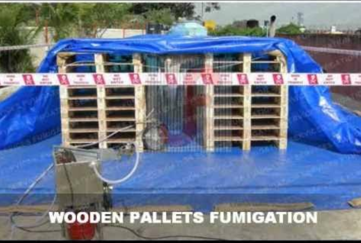in Pan India Fumigation Service For Export