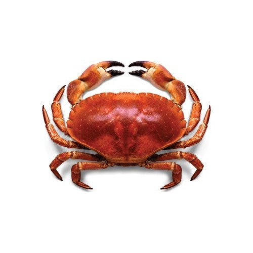Frozen Sea Crab, Packaging Type: Thermocol Box