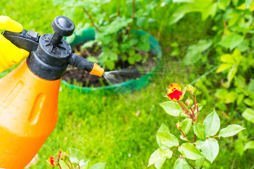 Home Spray Garden Pest Control Services