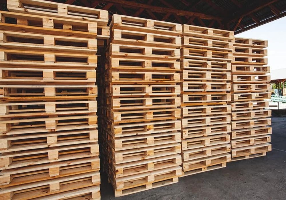 in Office Area Pallet Fumigation Service