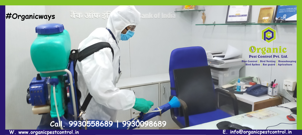 Pallet Fumigation Services