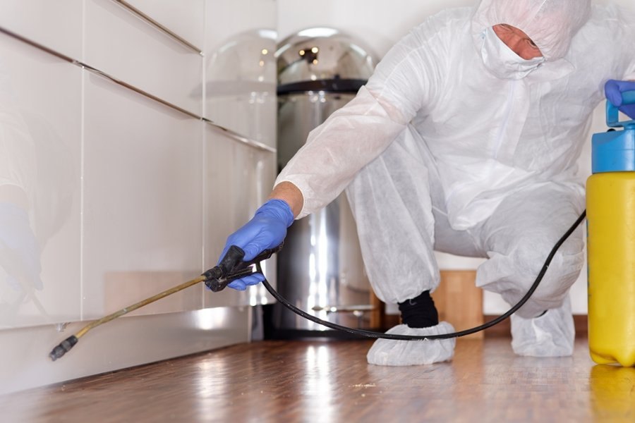 Home Sanitization Services