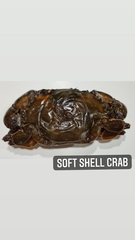 brown Frozen Soft Shell Crab, 1 kg, Packaging Type: Packet