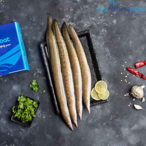 Eel Fish, Packaging Type: Thermocol Box