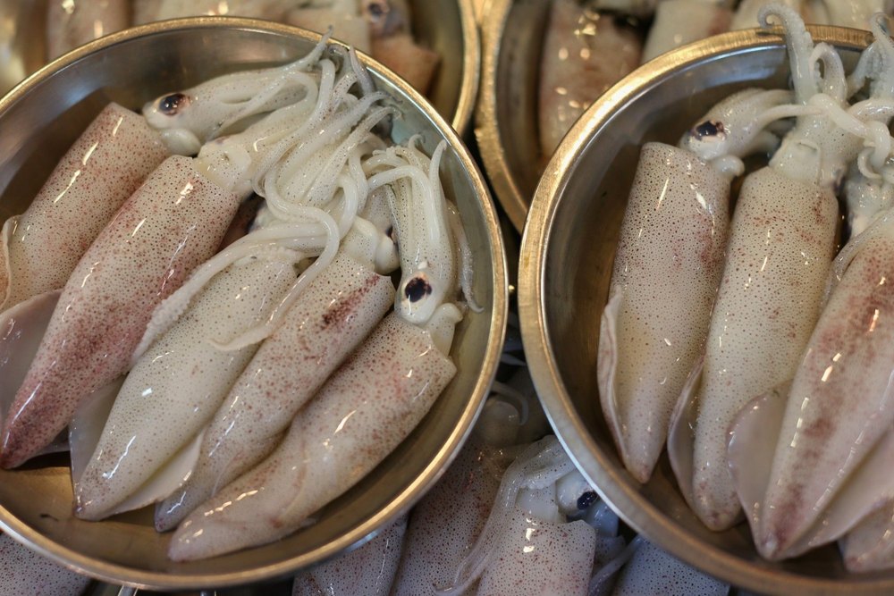 Red Raw Squid, For Household, Packaging Type: Thermocol Box