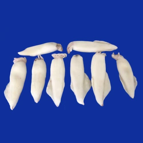 White Squids, For Restaurant, Packaging Type: Packet