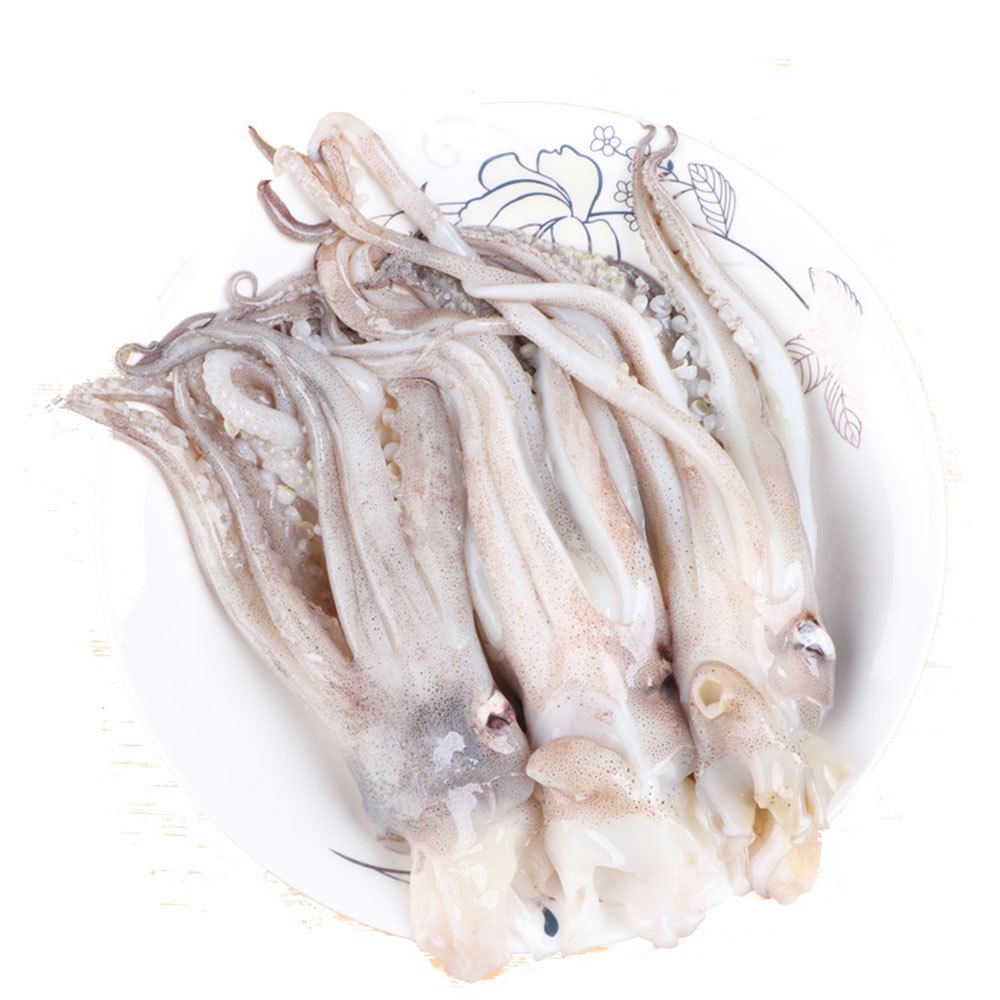 Frozen Squid