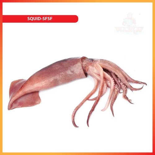 Pamban Seafoods Fresh Squid Fish, For Restaurant, Grade: A Grade