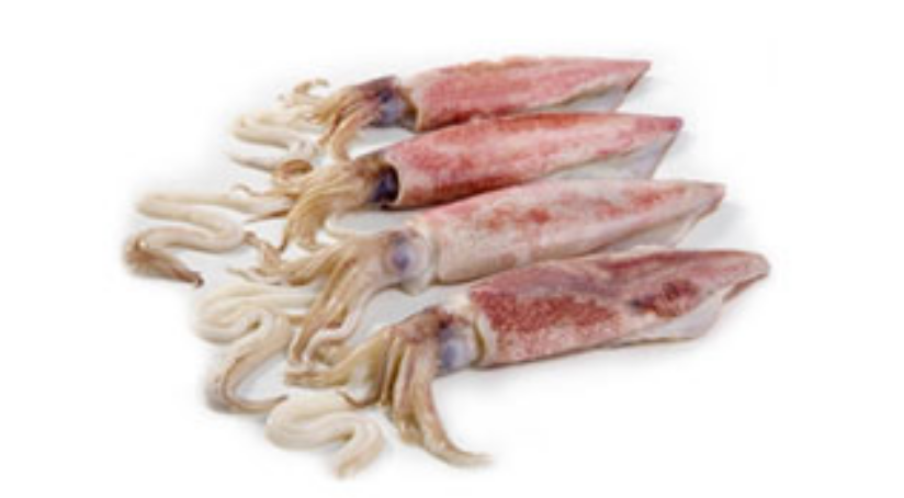 Squid Koonthal Fish