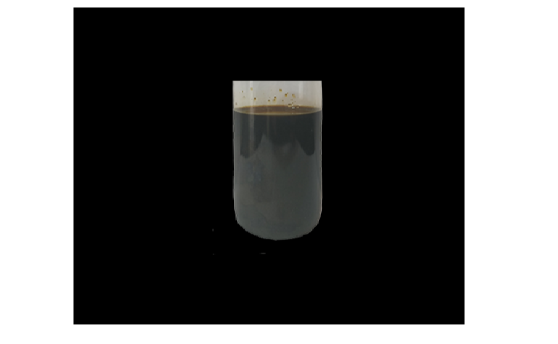 Sardine Oil