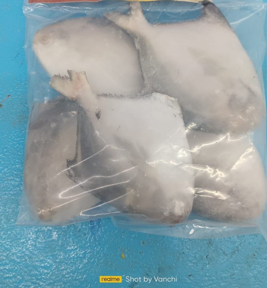 Silver Frozen Pomfret, Packaging Type: Thermocol Box, Packaging Size: 1 kg