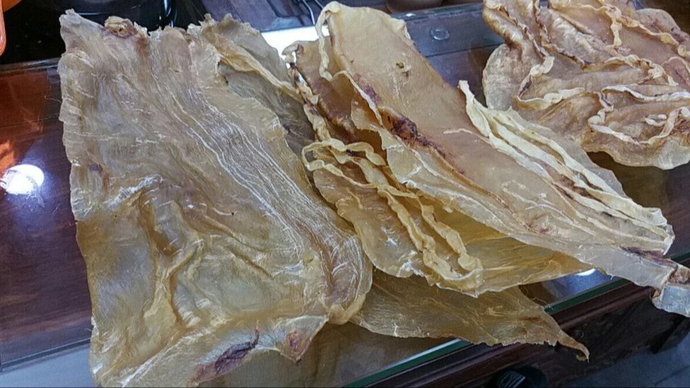 Yellow Fish Maw Dried, 1000kg, Packaging Type: Packet