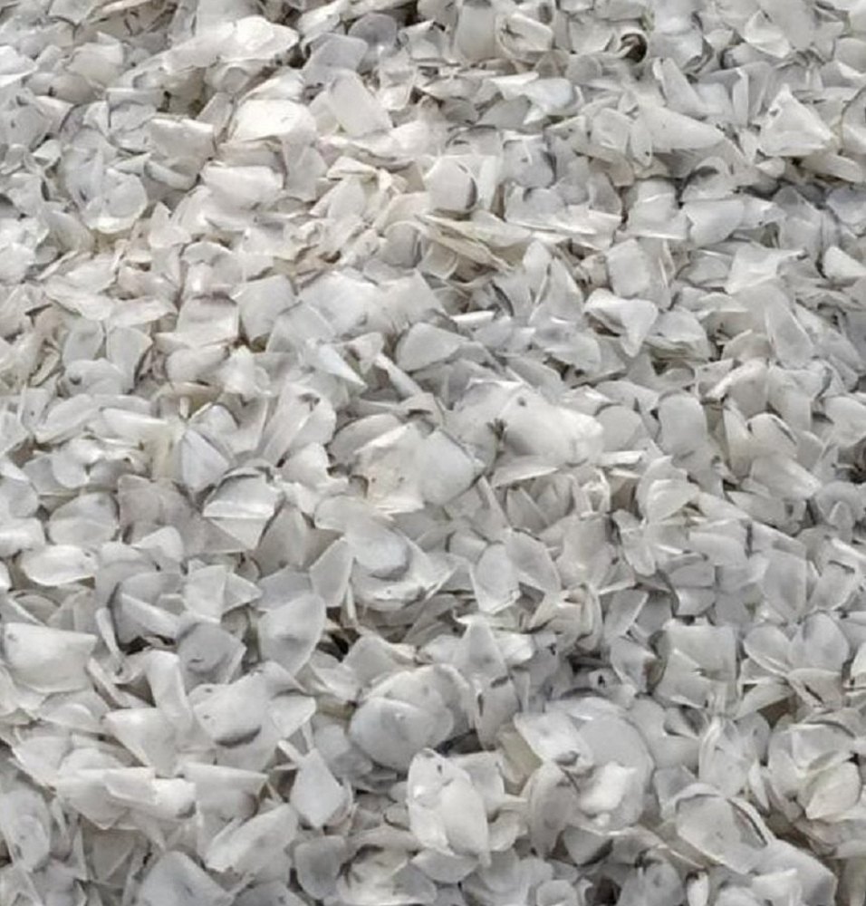 White Dry Fish Scale For Household, Packaging Type: Loose