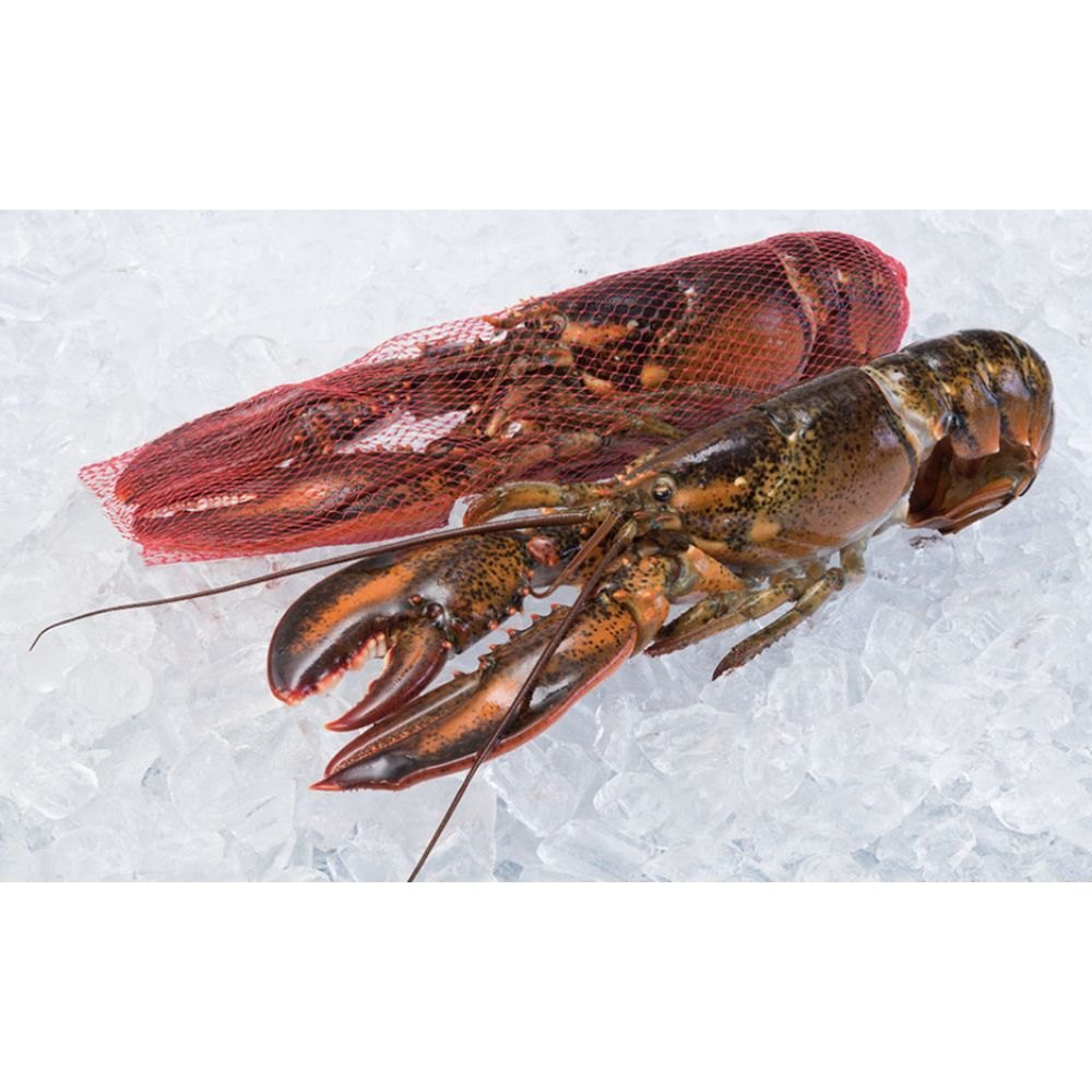 Aradhya Foods Brown Frozen Whole Lobster, Packaging Type: Loose