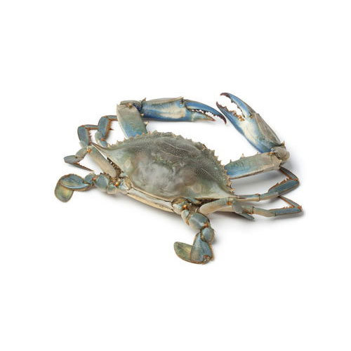 King Crab, For Restaurant And Household