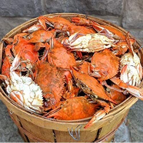 Silver Cameron\'s Seafood Premium Large Female Maryland Crabs (1 Dozen), Packaging Type: Thermocol Box