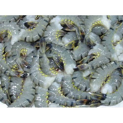 Black Sea Prawns, for Food Purpose