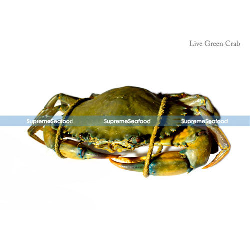 Supreme Live Green Crab, Packaging Type: Box