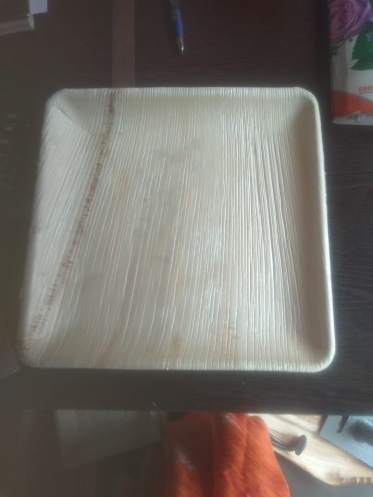 Natural Arecanut Leaf Plate, 100 Pcs