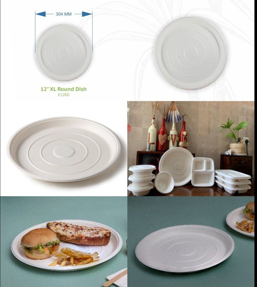 Sugarcane Bagasse Disposable Plates