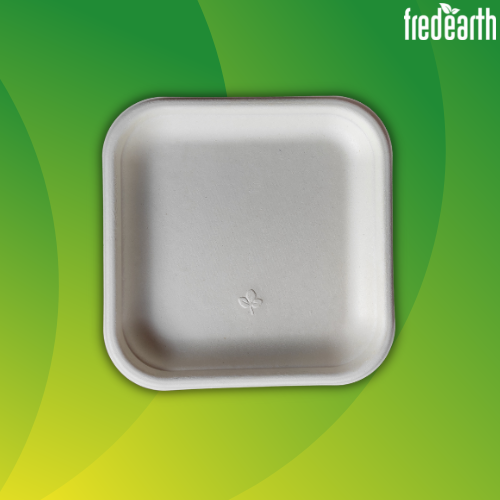 6 Inch Square Bagasse Biodegradable Disposable Plate