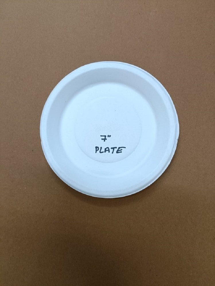 7 Inch Biodegradable Paper Plate