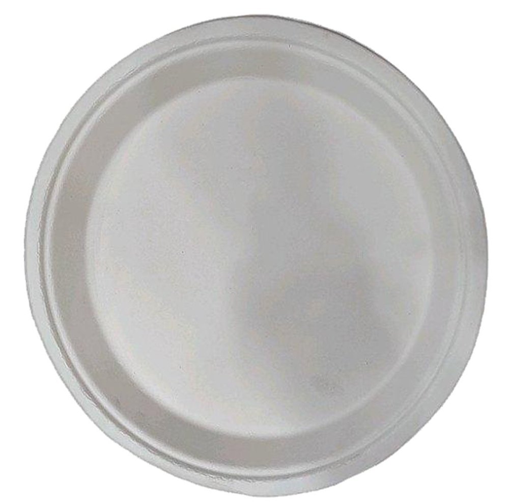 Plain Disposal Plate