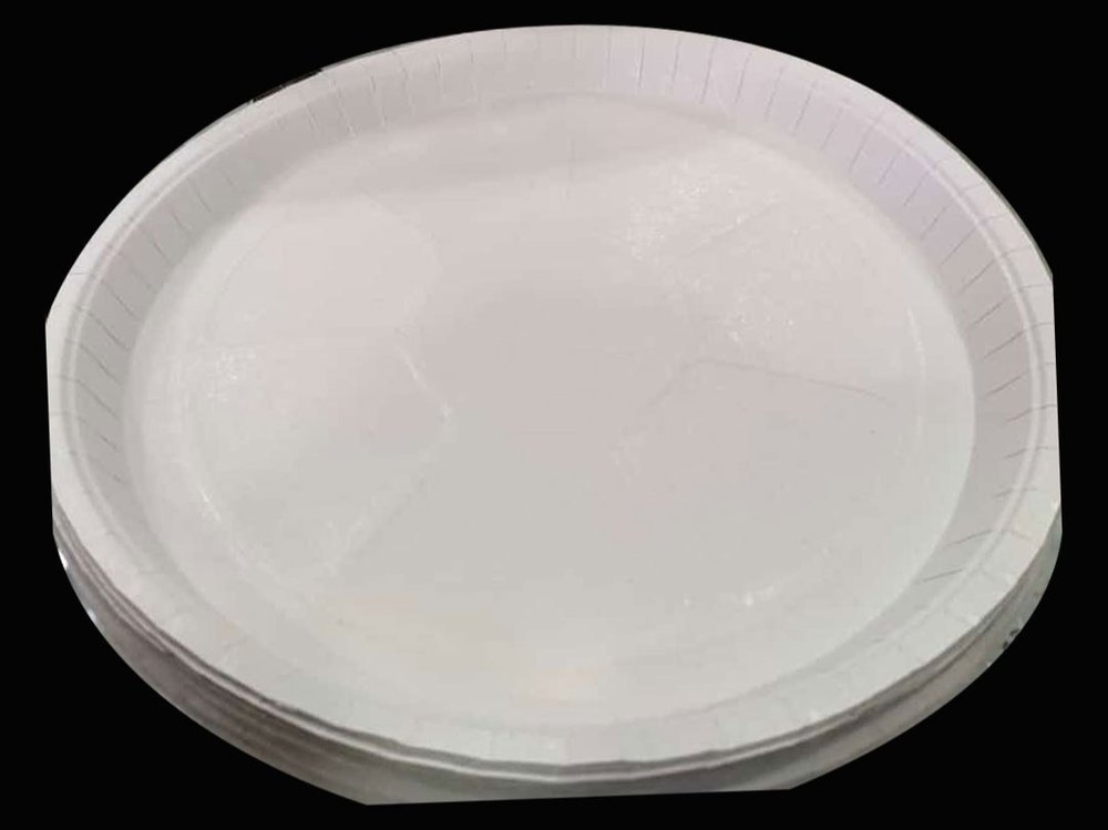 Breakfast Thermocol Plate