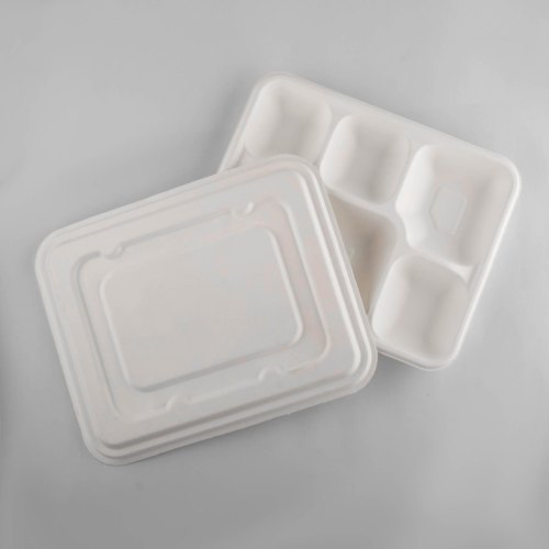 Sugarcane Bagasse White Biodegradable 5cp Tray with LID, For Event and Party Supplies, Size: 13 Inch