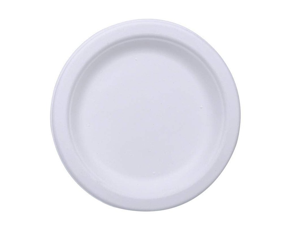 Sugarcane Bagasse Plates