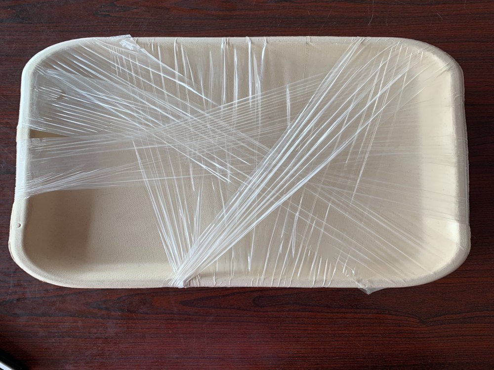 Bagasse Natural Eco Friendly Disposable Plates, 25, Size: 9 Inch