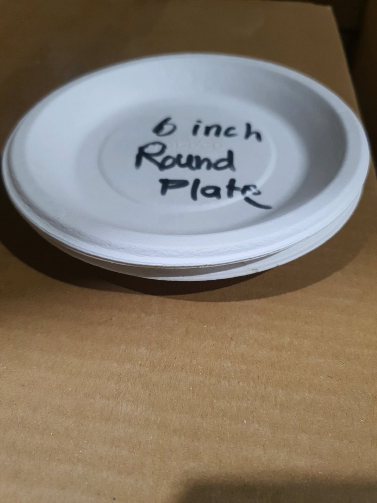 6 Inch Biodegradable Paper Plate