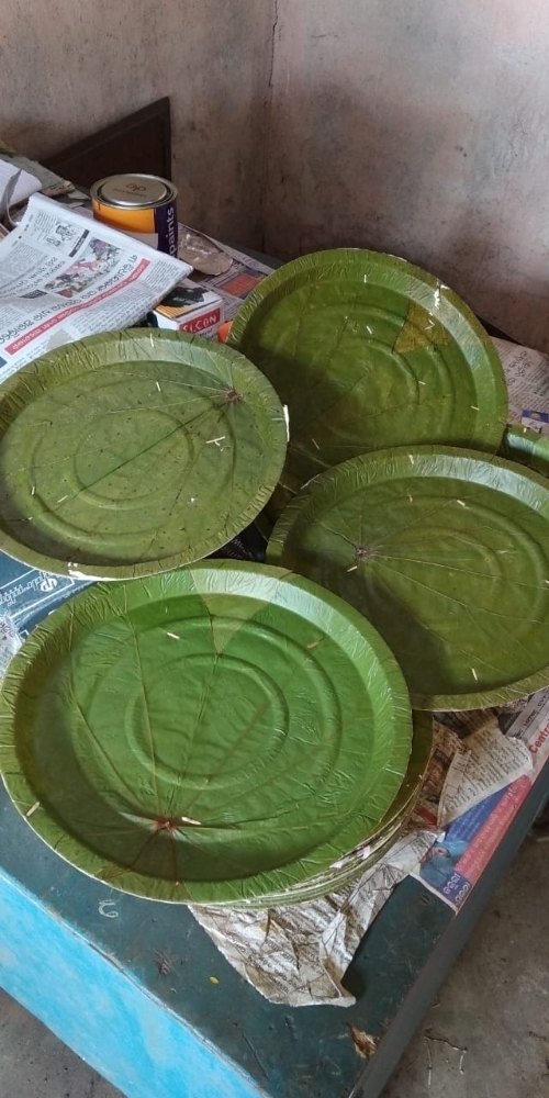 Natural Siali Leaf Plates (Oslu), For Event and Party Supplies, Size: 16 Inches