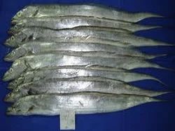 Ribbon Fish Sea Food