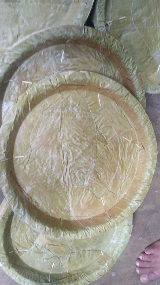 Natural Sal Leaf Plate