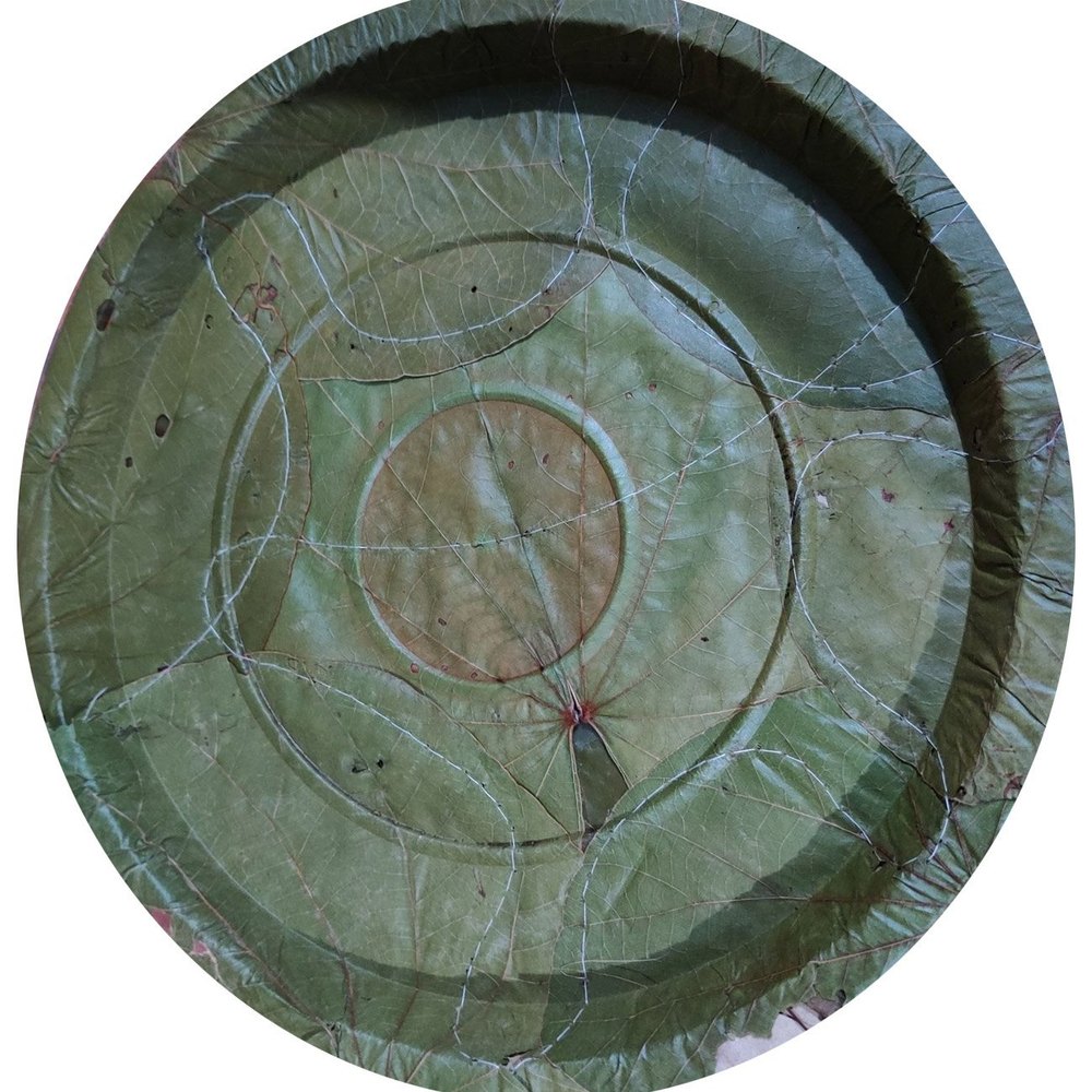 Disposable Sal Leaf Buffet Plate, Size: 14inch