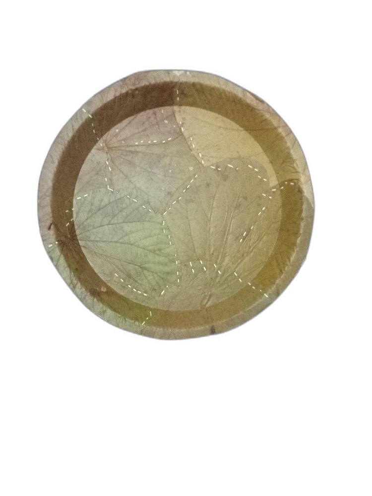 Paper 10 Inch Sal Leaf Plates