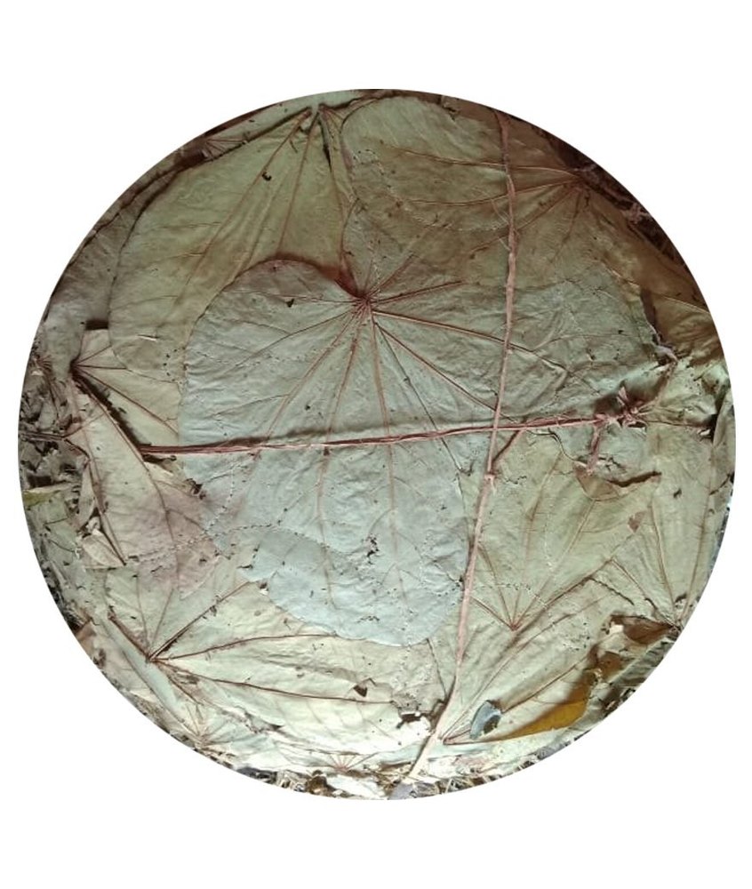 Brown 20inch Siali Leaf Plate, For Event and Party Supplies