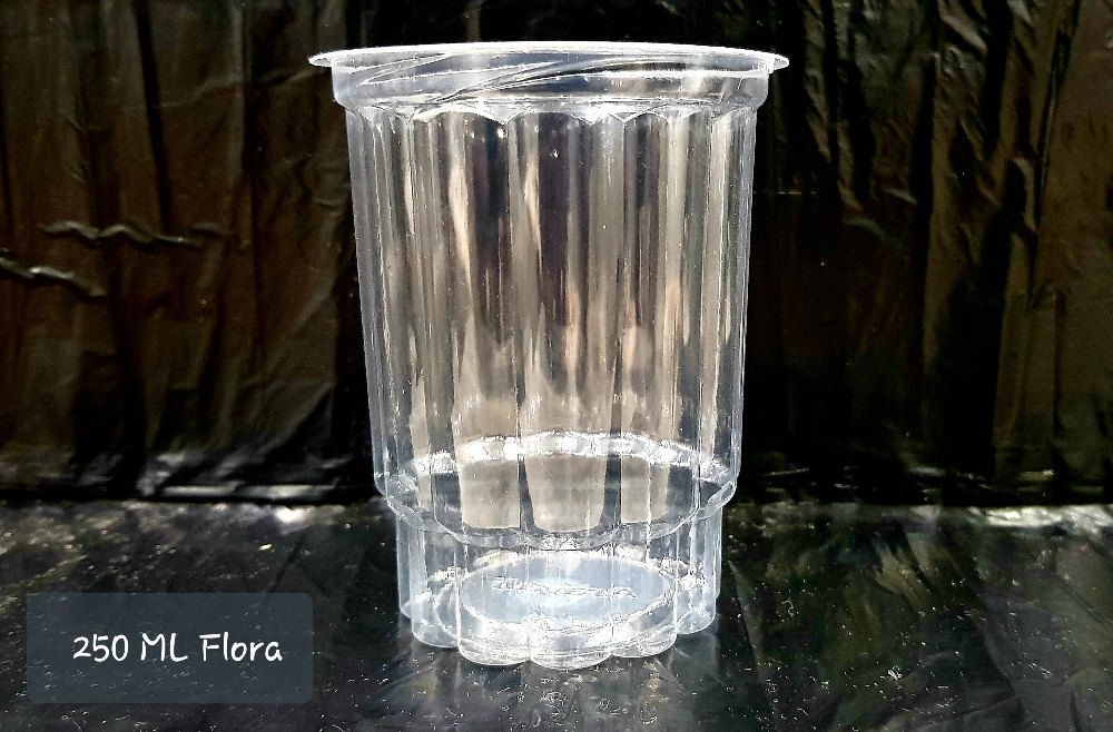 Aravali Transparent PP Flora Glass for Party