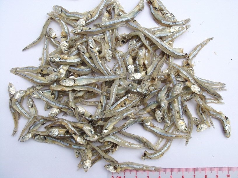 Dried anchovies very clean quality.