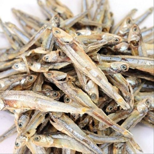 Dry Anchovy (Nethili) Export Quality